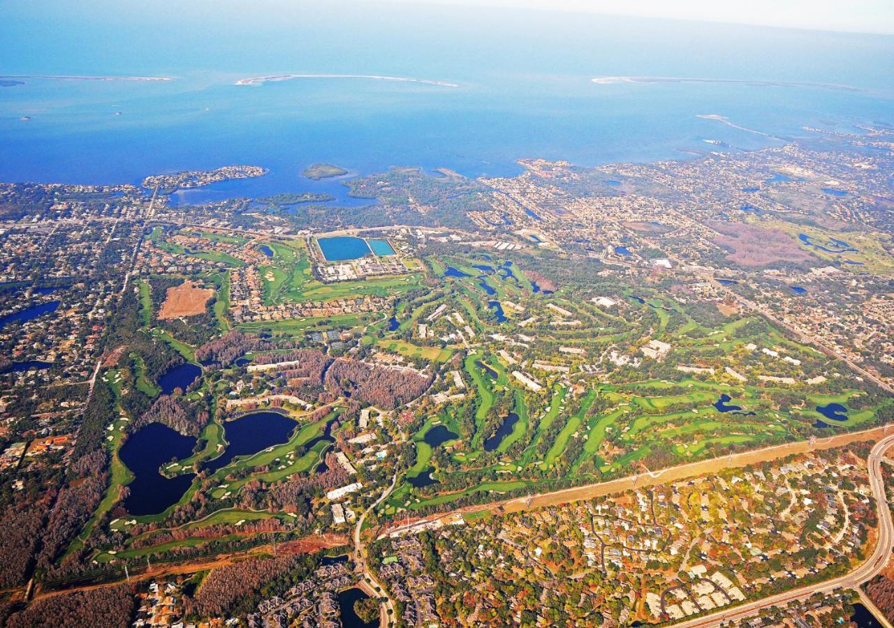 Innisbrook Resort Palm Harbor Dış mekan fotoğraf